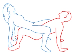 reverse sex position